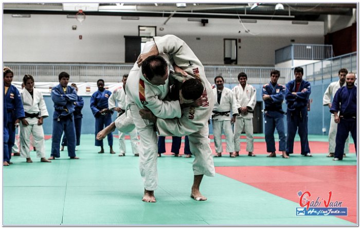 STAGE JUDO MADRID 14 00095